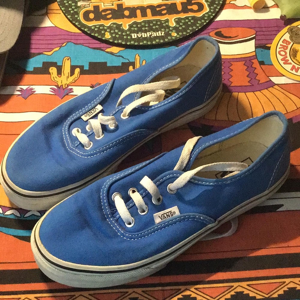 Van’s Skate Shoes